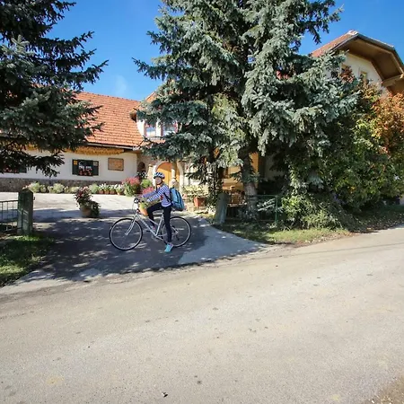 Gasthof Moj Dom-toplak